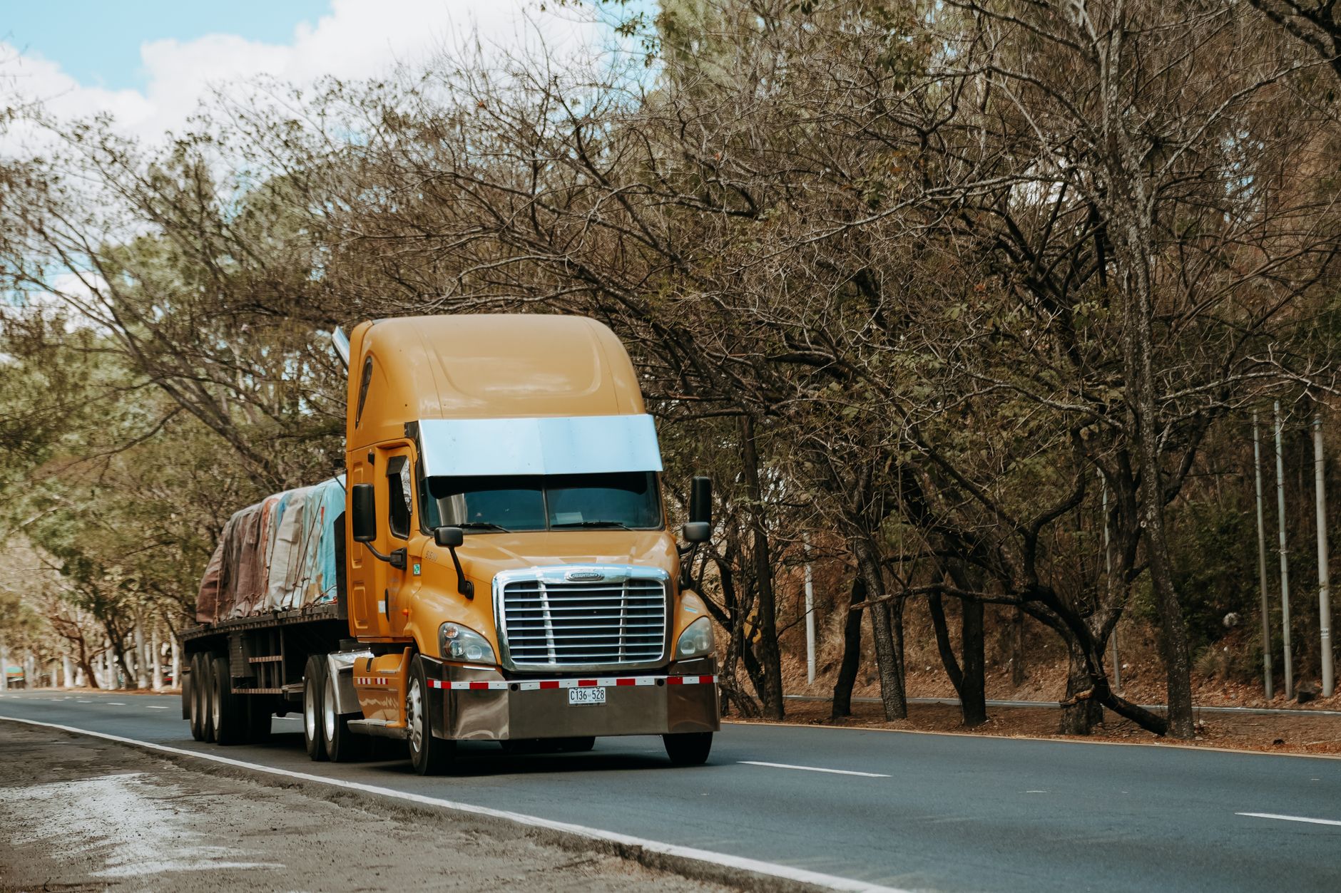 Heavy Transport Vehicles